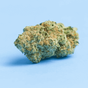 LBS Blueberry Dream