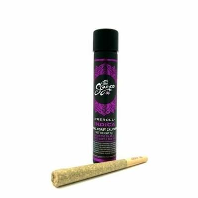 The Source Central Coast-Slurty Pre-Roll