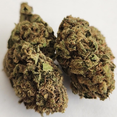 Platinum Delight - P