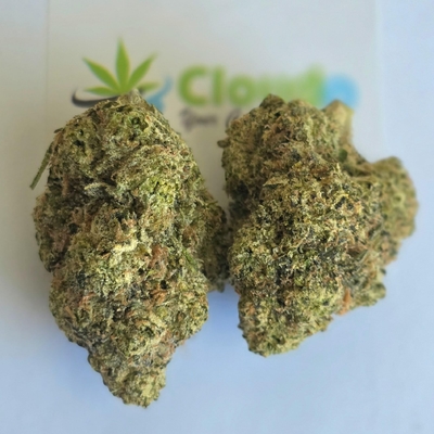 Rasta Pie - Exotic A+