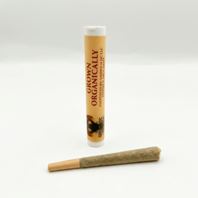 PreRoll: Pilot Light