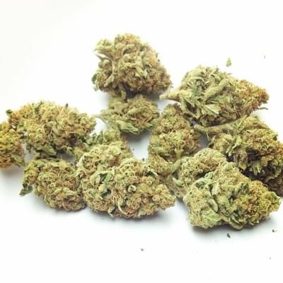 Chem Dawg #4