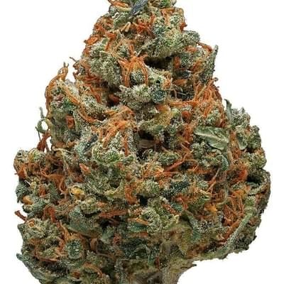 Durban poison (AAA+)