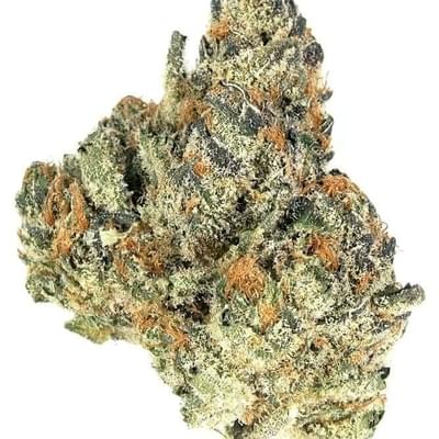 Orange Cookies (Exotic A+)