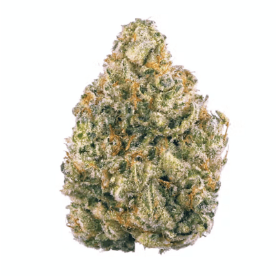 Jet Fuel