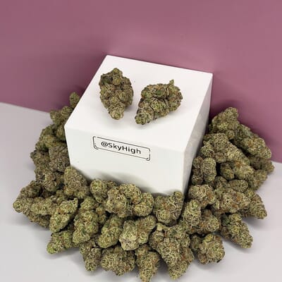 Blue Cheese-Exotic A+