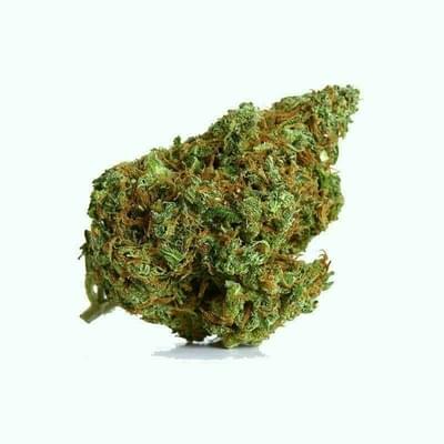 Super Jack (top shelf)