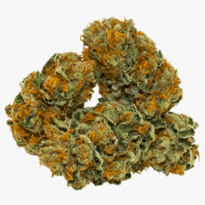 Utopia haze