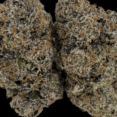 Kosher Kush OG (Ultra Designer)