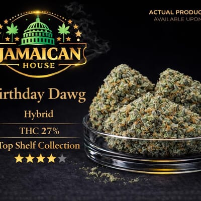 Birthday Dawg AAA