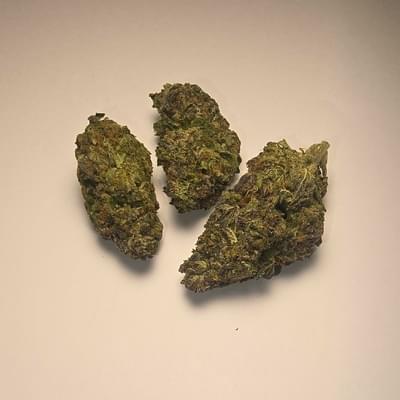 Grease Monkey (PREMIUM)