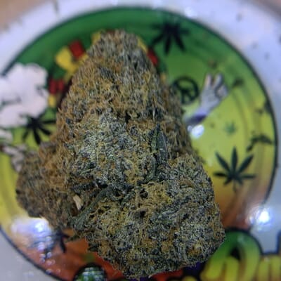 EXOTIC-SOUR TANGIE