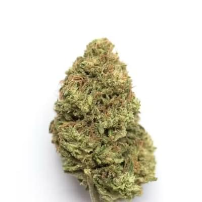 Blueberry Pie