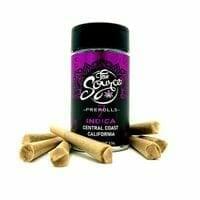 The Source CC OG Kush | 7 Pack