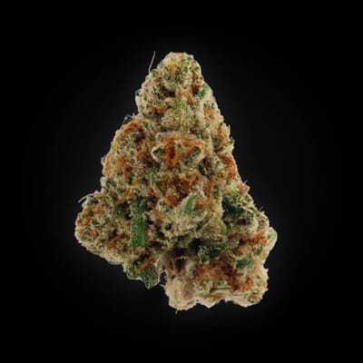 Girl Scout Cookies