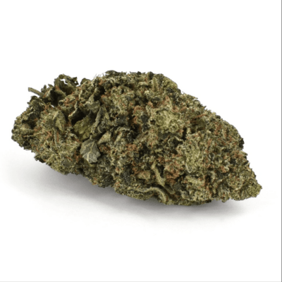 PANAMA RED