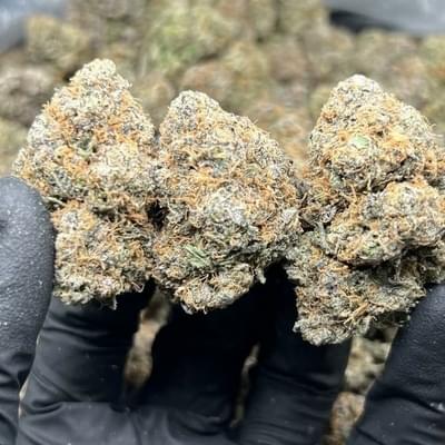 Lemon Skunk