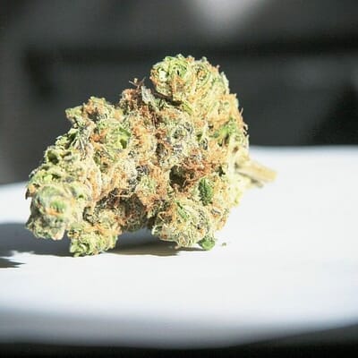 AlpenGlow (TOP-SHELF)