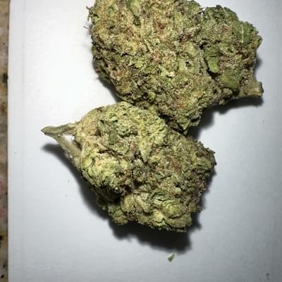 G13