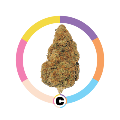Train Wreck