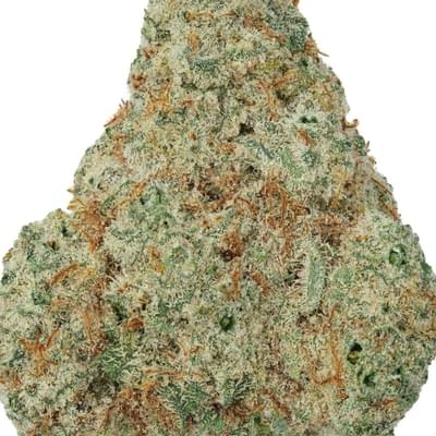 AMNESIA HAZE (TOPSHELF)