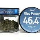 Froot Infused Flower Blue Poison
