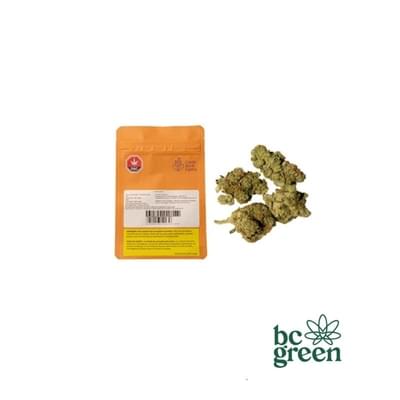 FROSTED GUMBO 28- BC Green