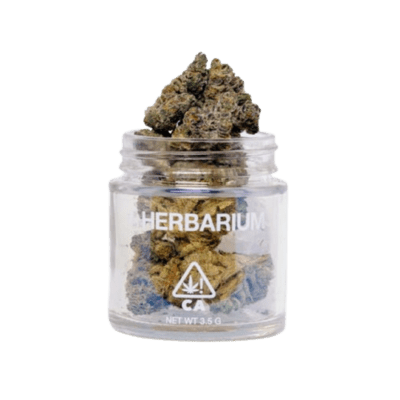 GASFACE OG (3.5G) [I]