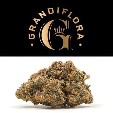 Grandiflora | Melonatta premium indoor flower 3.5g | 24.56% THC