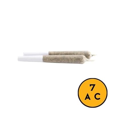 JACK HAZE PRE-ROLLES - 1