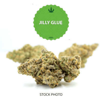 Jilly Glue | Hybrid