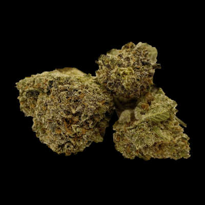 Jungle MAC