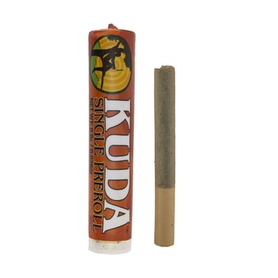 Kuda - Preroll - GMO -
