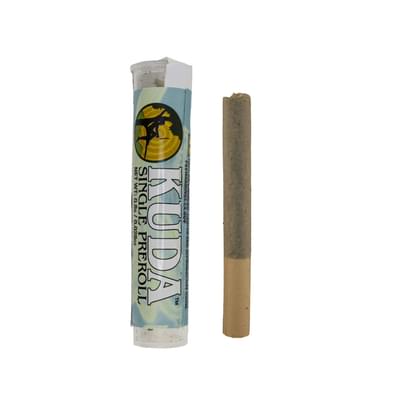 Kuda - Preroll - Orange Creamsicle -