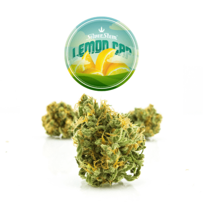 Lemon Cap | Sativa