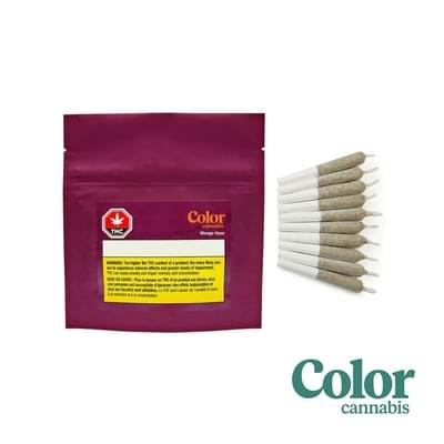 Mango Haze PR 10pk