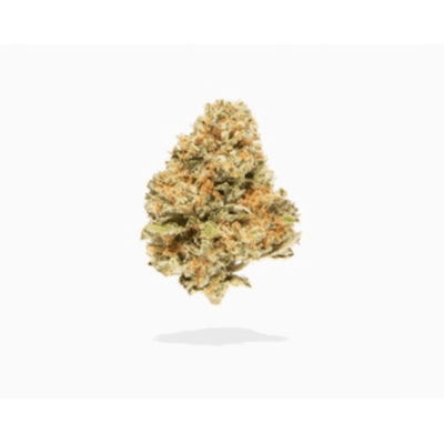(MED) Redbud Roots | I-Tre