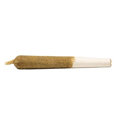 PEACH RINGZ INFUSED PR | GENERAL ADMISSION | 1 x 1g