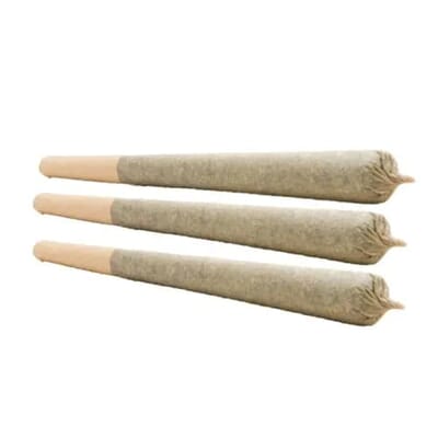 POWDERED DONUTS PR | WEED ME | 3 x .5g