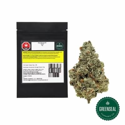 PRALINE GELATO 3.5g - Greenseal