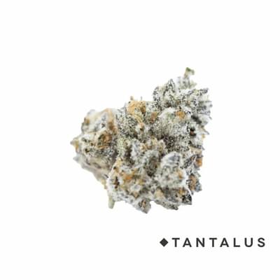 Pure Michigan 7g (Tantalus)