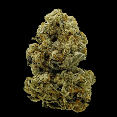 Sour Larry BX