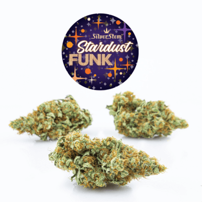 Stardust Funk | Hybrid