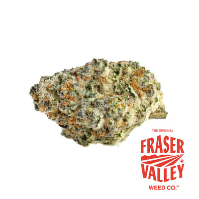 STRAWBERRY AMNESIA 28G - 28