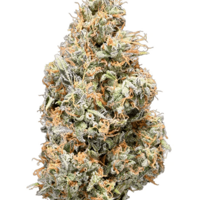 Tribal - Cuban Linx 1x3.5g >S
