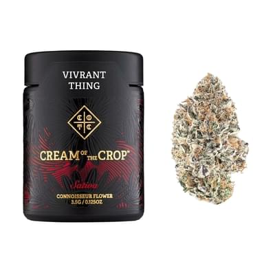 VIVRANT THING BIGS (3.5G) [S]