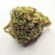 Sour Diesel