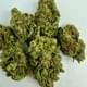 Sour Jack