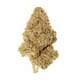 Maui Waui (EXOTIC A+)