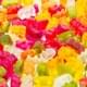 THC GUMMIES 1000MG